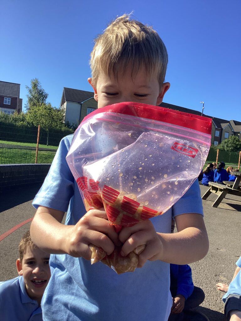 Learners explore the wonders of the human digestive system